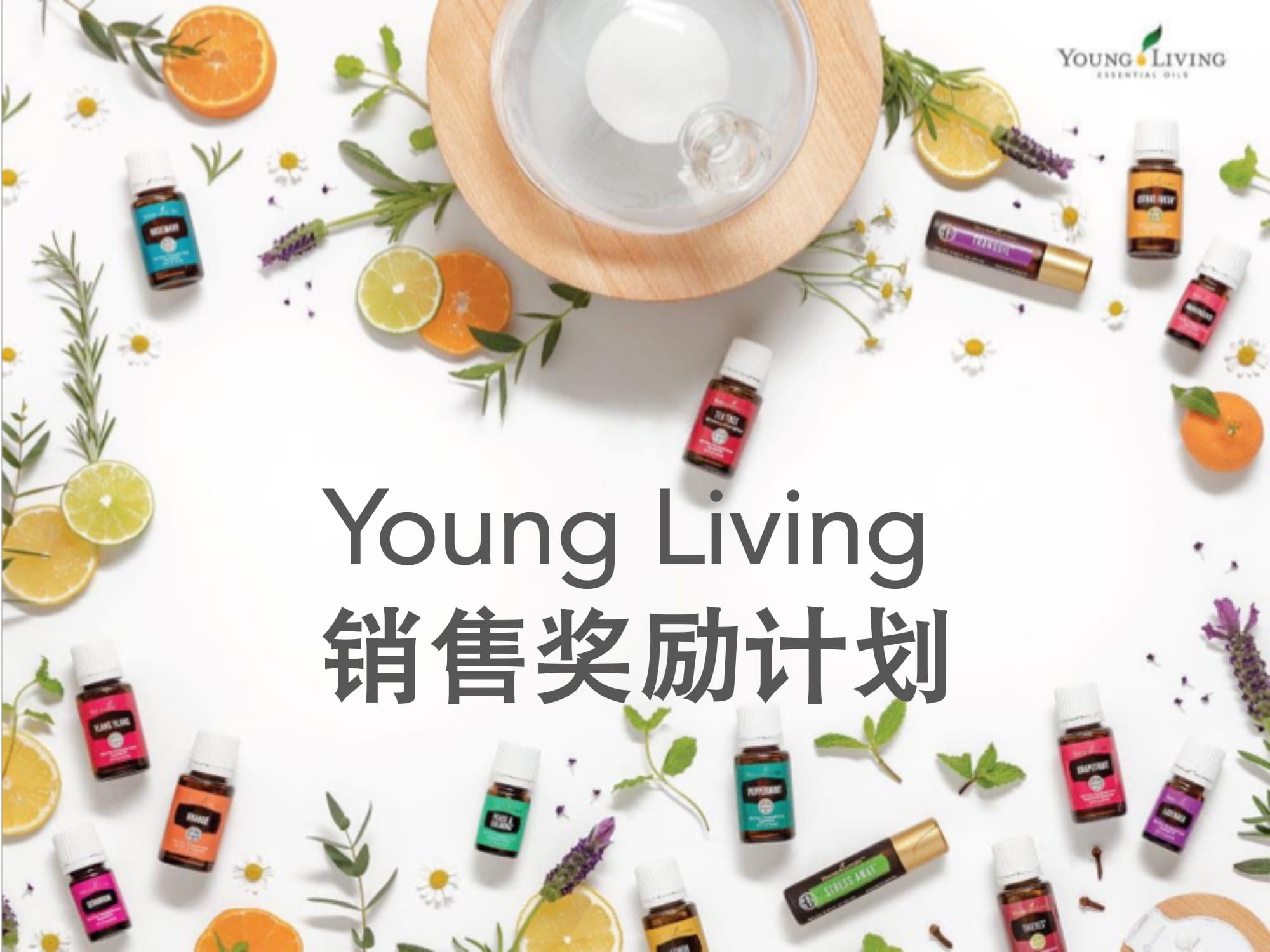 銷售獎金計劃 (中國)